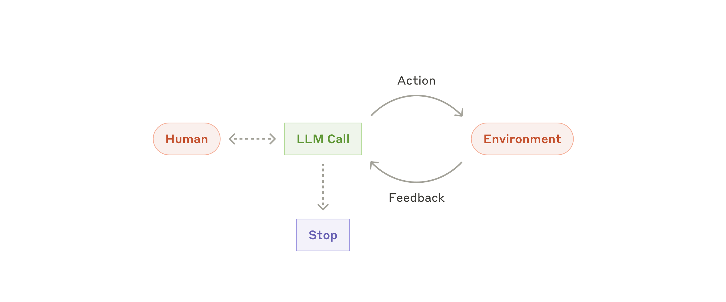 The action and feedback loop